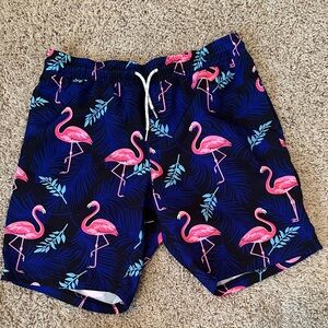 Boys Flamingo Swim Trunks - Blue and Pink